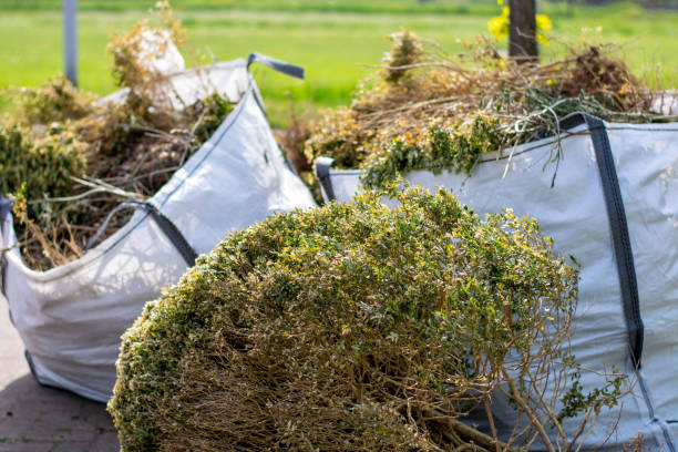 Demolition Debris Removal in Sour Lake, TX